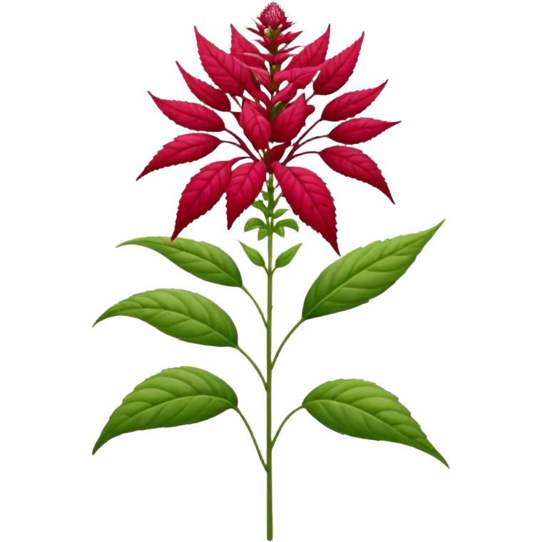 amaranth plant flower emoji