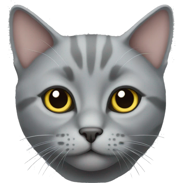 Scottish Grey Cat emoji