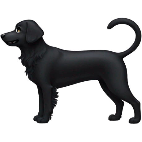 black dog with curly tail emoji