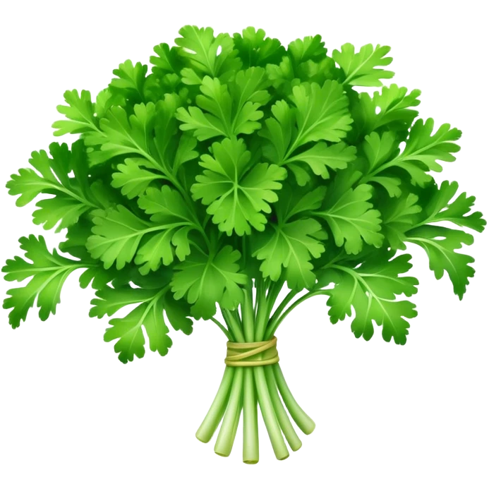 Cinematic Realistic Parsley Emoji, Fresh and vibrant, with bright green, frilly leaves that seem to shimmer with vitality. The plant exudes a sense of healthy growth and aromatic zest, inviting both beauty and flavor into any dish. Soft glowing outline, capturing the essence of freshness, health, and culinary delight in a sprig of parsley! emoji