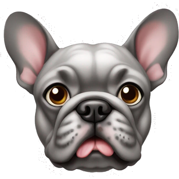 Bouledogue français gris emoji