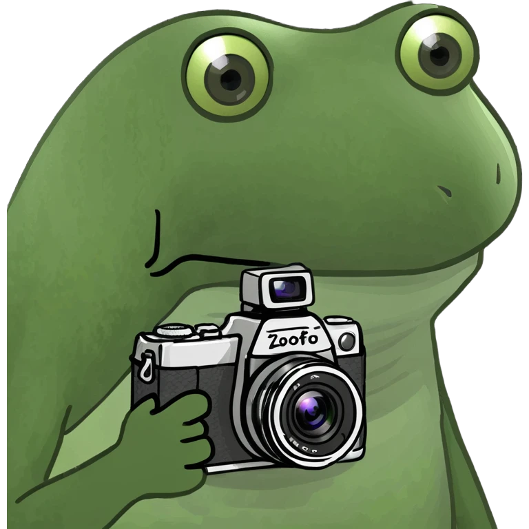 fire with camera emoji