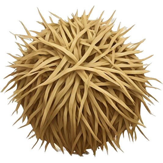 Tumbleweed emoji