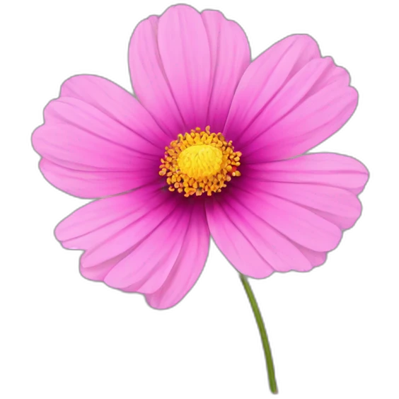 pink cosmos flower emoji