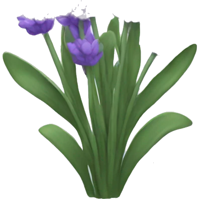 Lavender emoji
