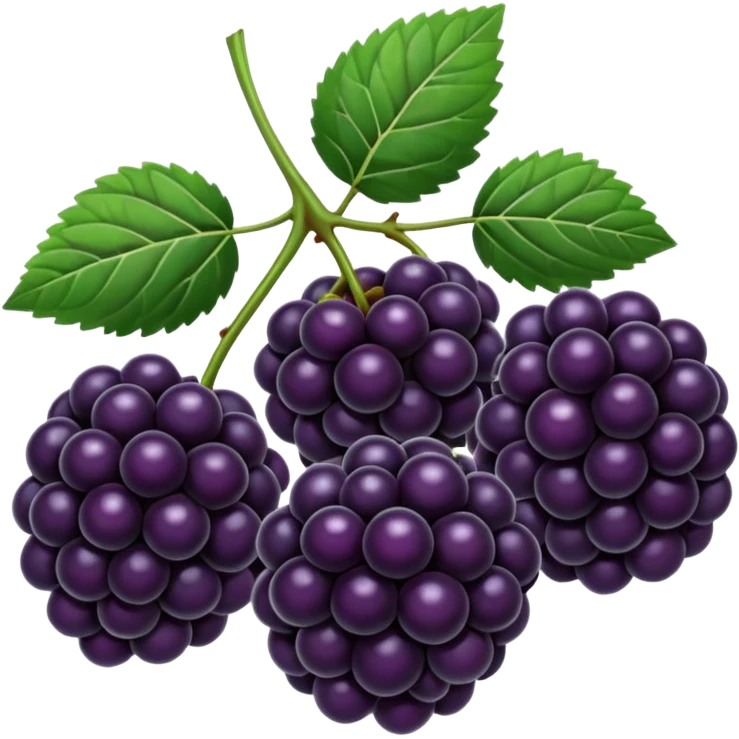blackberries emoji