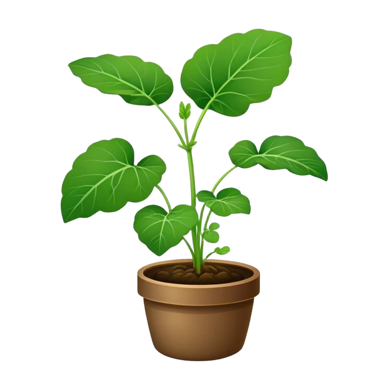 Gotu Kola emoji