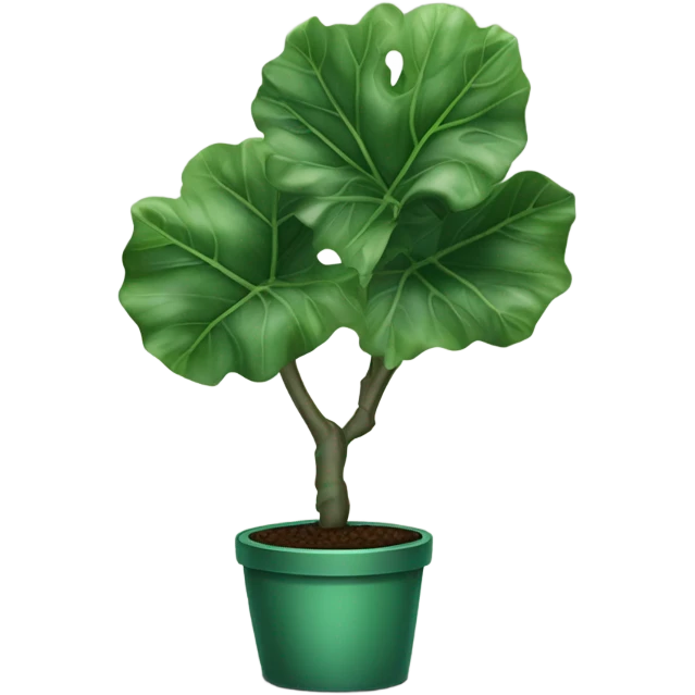 Fiddle leaf fig emoji
