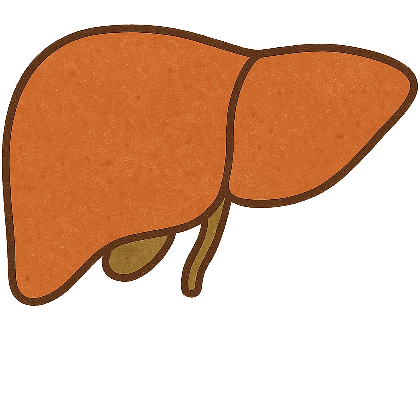 liver emoji