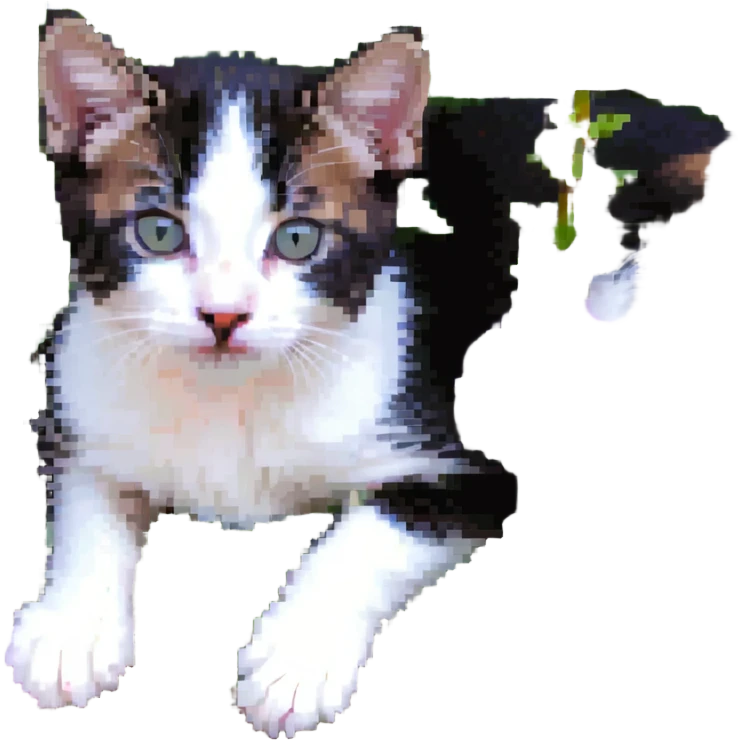 Kitten lying in flowers emoji