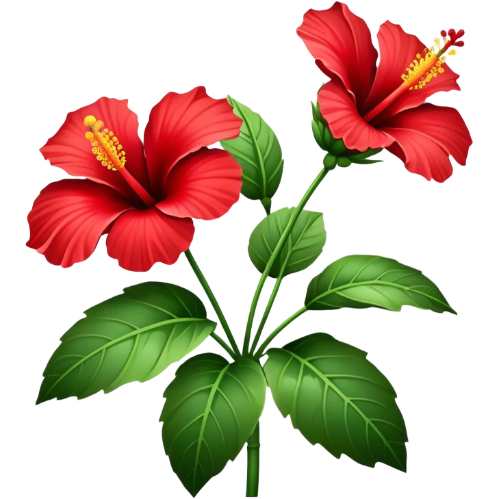 single Hawaiian hibiscus, straight stem emoji