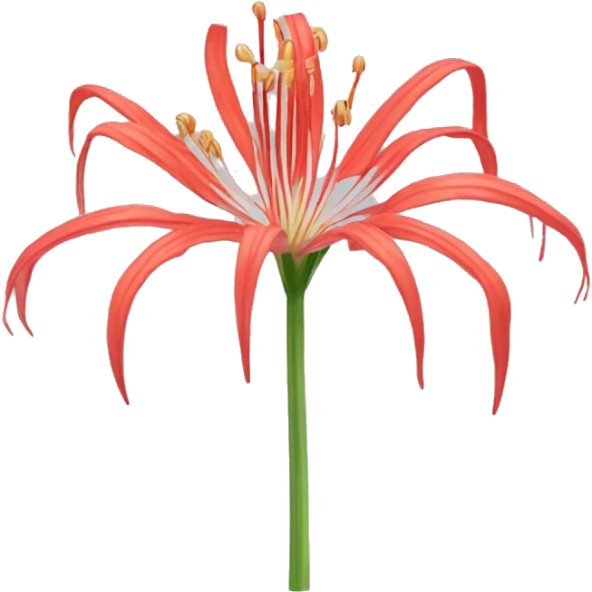 spider lily flowet emoji