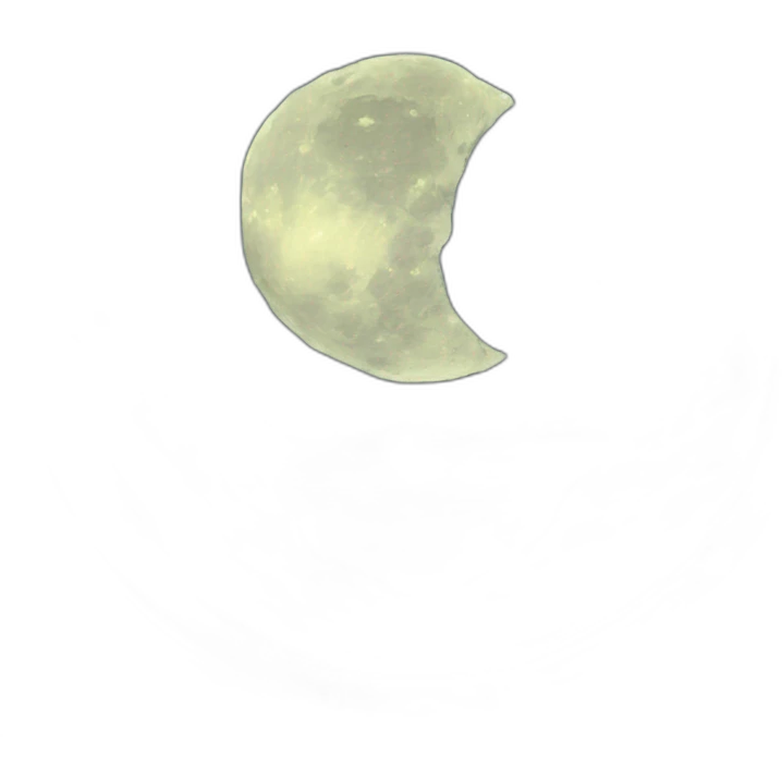 the-moon-in-the-tarot-card emoji