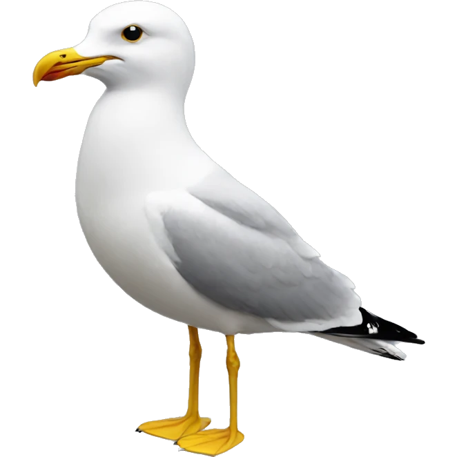 seagull emoji