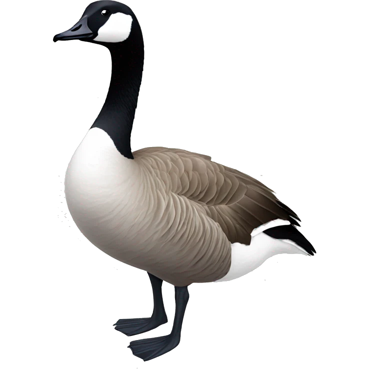 Canada goose emoji