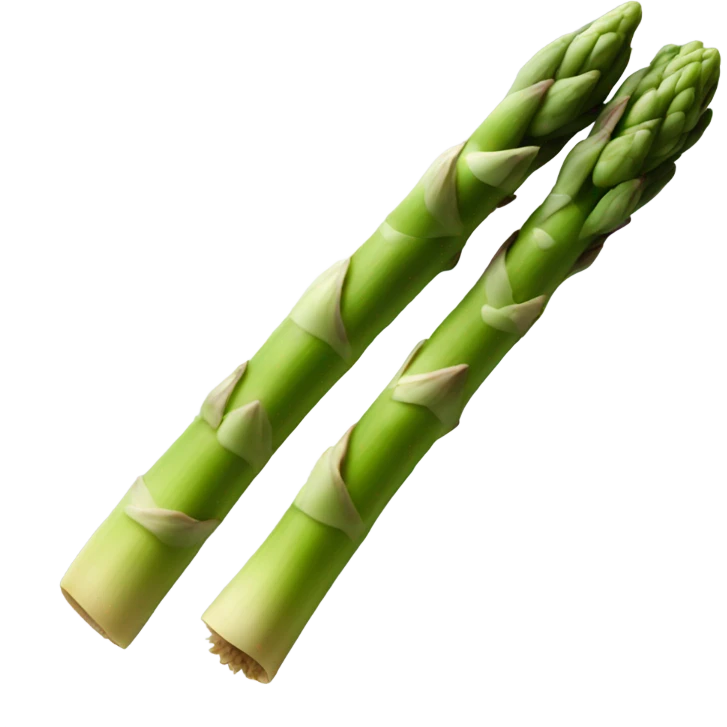 a spear of asparagus  emoji