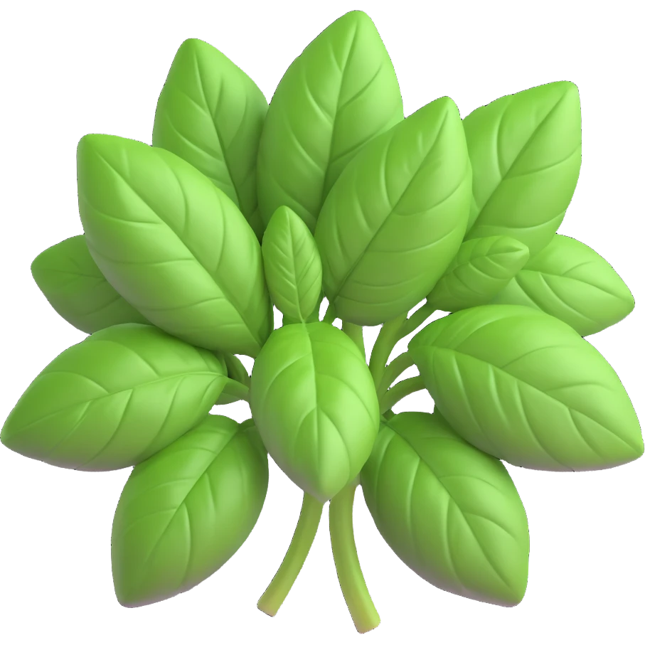 A bunch of fresh basil with bright green leaves, rendered in a 3D volumetric iOS style, on a white background. emoji