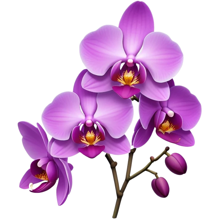 Orchid purple  emoji