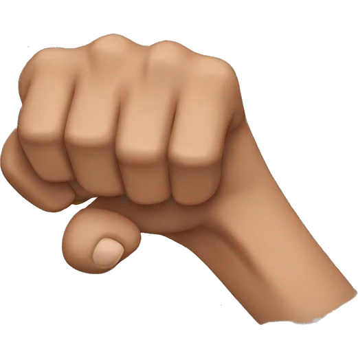 punch emoji