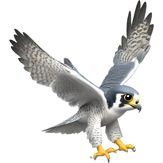 Baby Peregrine falcon happy dance emoji