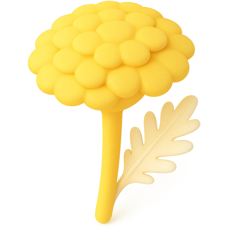 3D iOS style illustration of a yellow yarrow flower, realistic and vibrant, with voluminous flower clusters and green leaves, on a transparent background. emoji