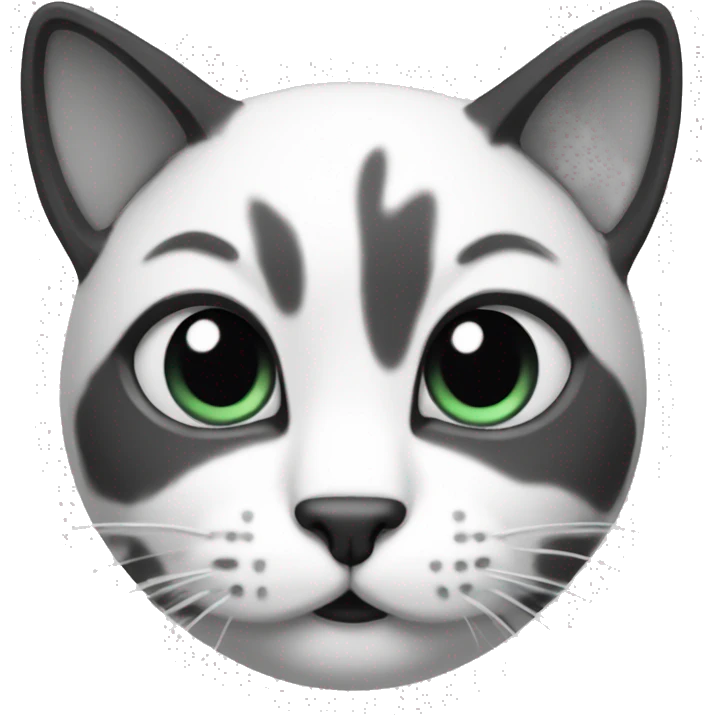 Cat black and white  emoji