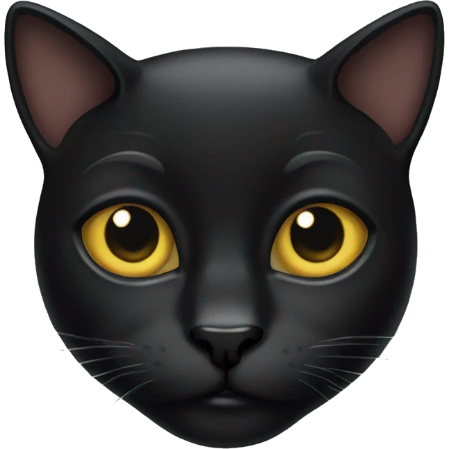 face of a black cat  emoji