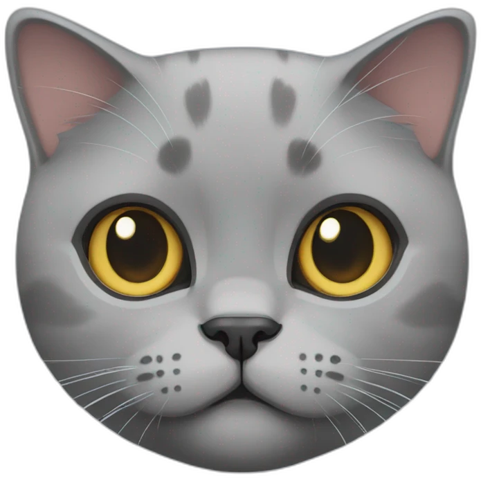 british shorthair cat emoji
