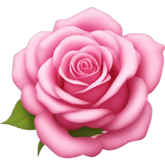 Pink beautiful cute rose emoji