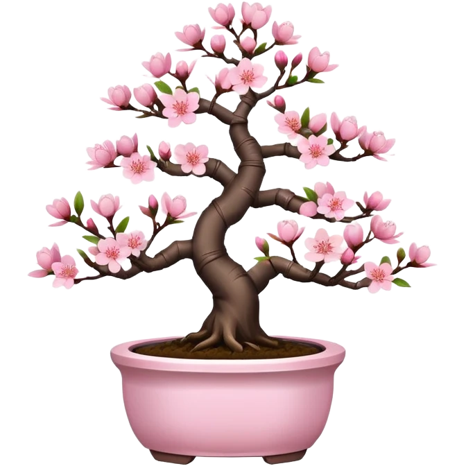 Cute small Sakura cherry blossom Bonsai tree  emoji