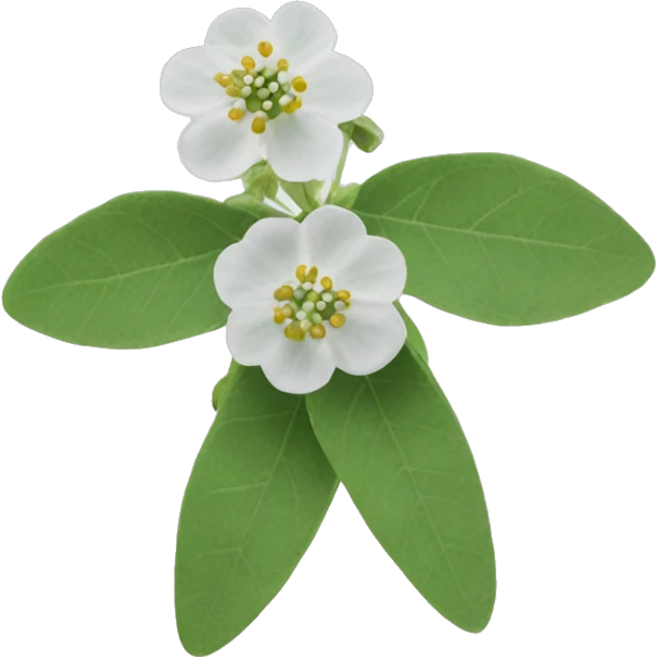 Diphylleia grayi emoji
