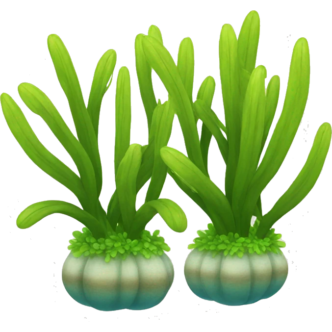 sea ​​plants emoji