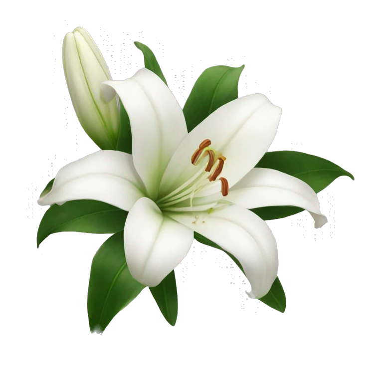 White lilies  emoji