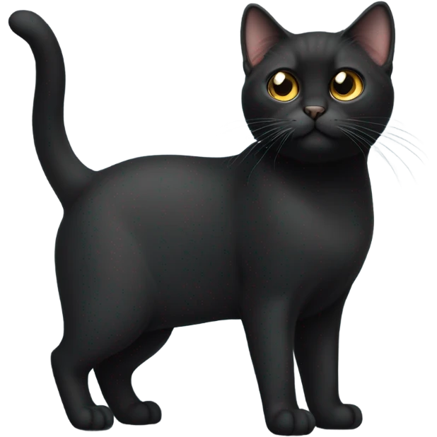 Black munchkin cat emoji