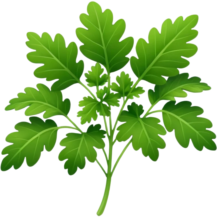 Cilantro emoji