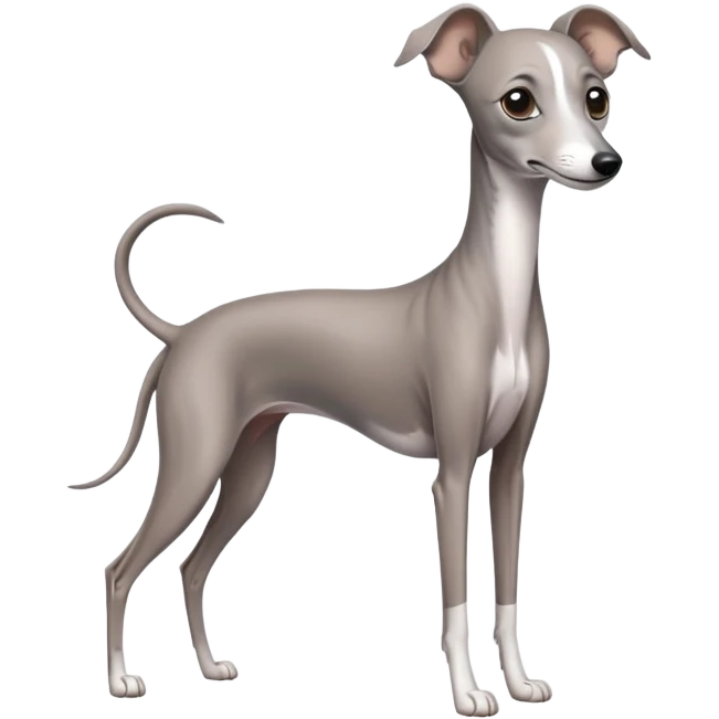 grey italian greyhound dog emoji