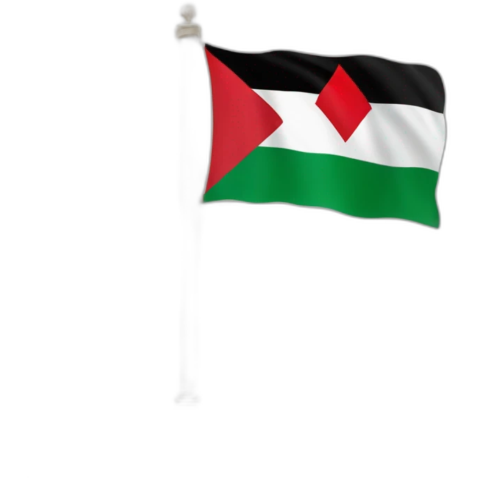 flag of palestine x maroccan flag emoji