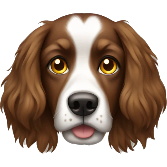 Brown long hair dog without white with yellow eyes emoji