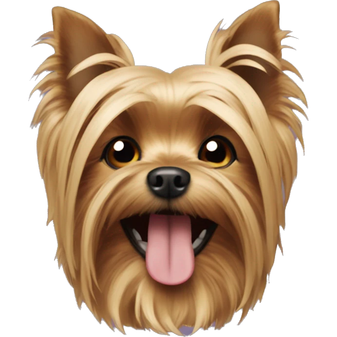 Yorkie riendo emoji
