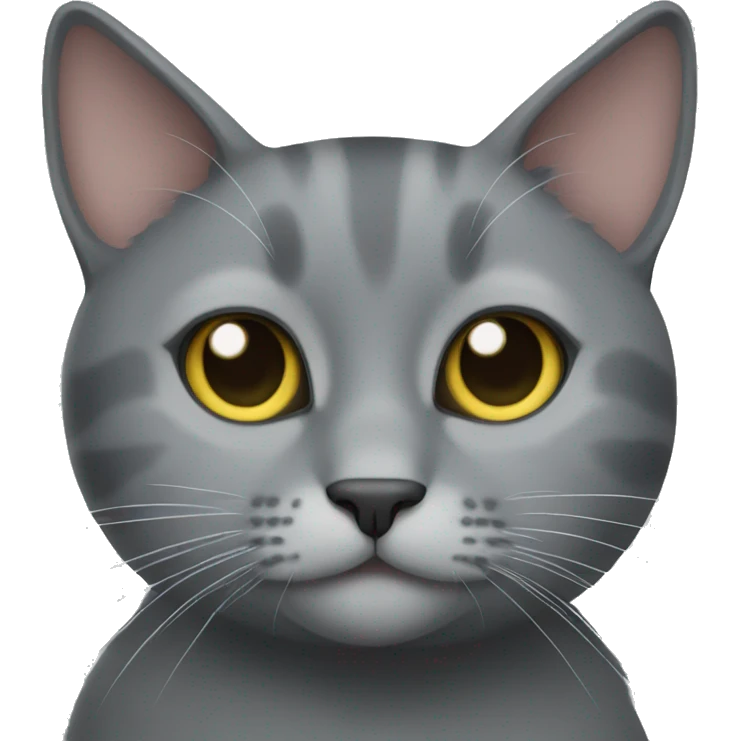 grey cat emoji