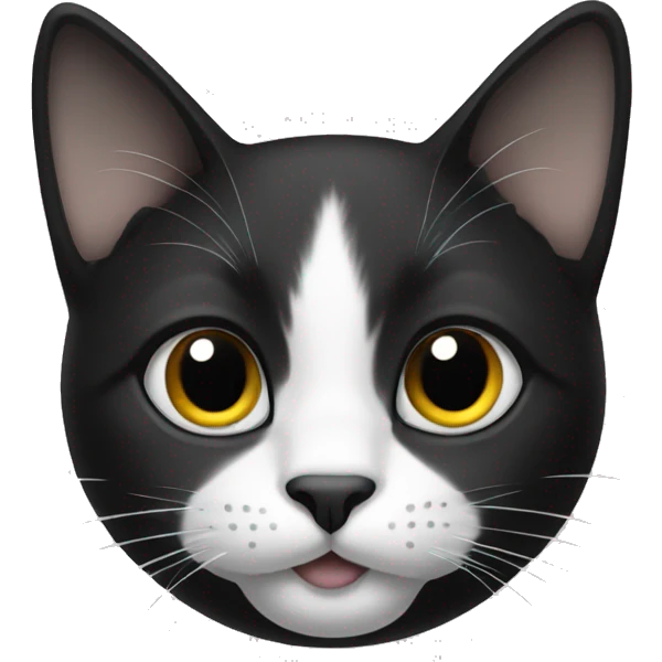 cat blacl and white emoji