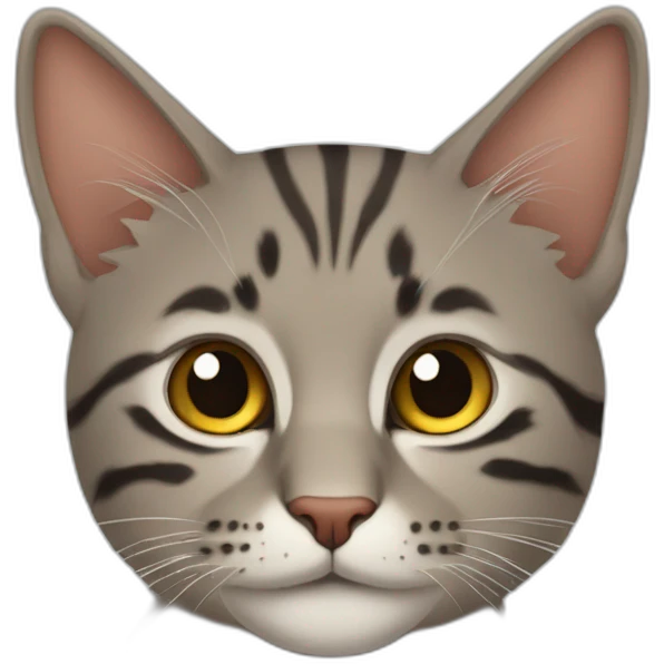 türk bayraklı kedi emoji