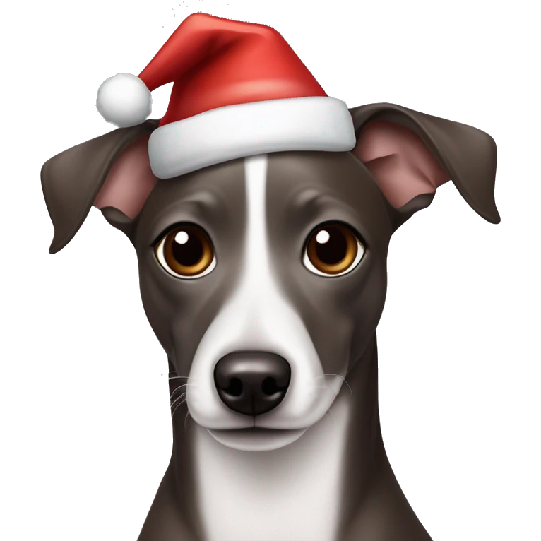 All Dark Grey brown Formosa mountain dog and Italian greyhound mix no white on the face, dark brown eyes, ears up with Santa hat emoji