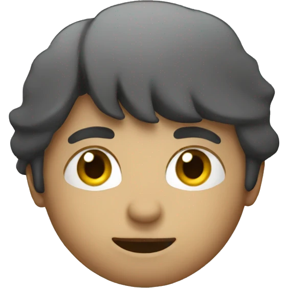 person stop emoji