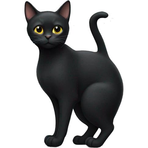 Black cat with missing front leg emoji