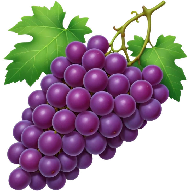 concord grape, realistic purple grapes with a green stem emoji