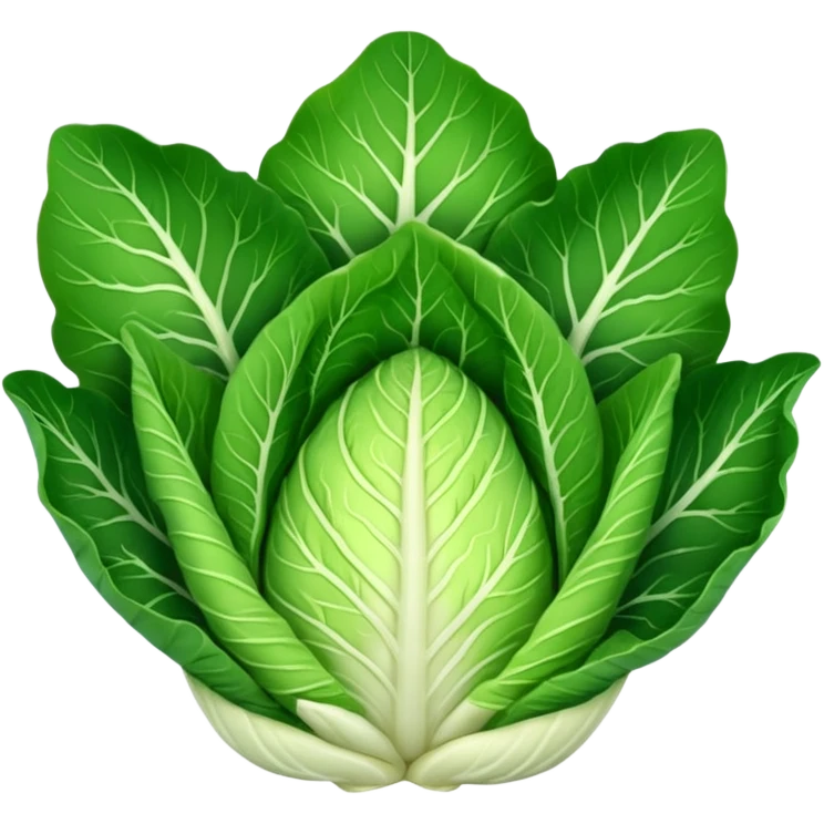 Chinese cabbage  emoji