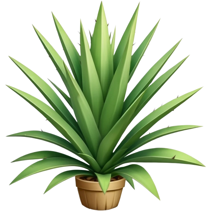 yucca plant with spiky green leaves emoji