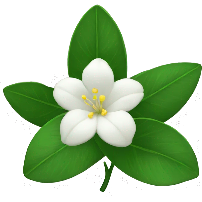 Jasmine flower emoji