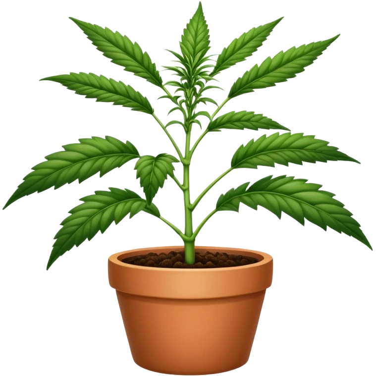 marihuana plant in a pot emoji
